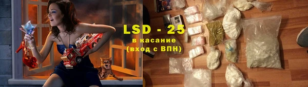 индика Алексин
