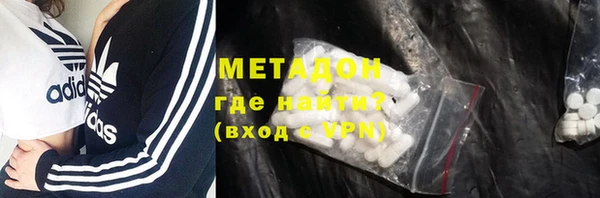 индика Алексин