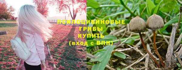индика Алексин