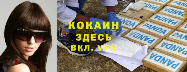 дурь Алзамай
