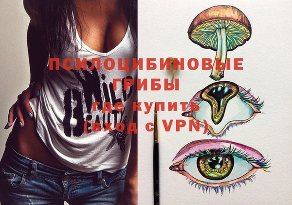 бошки Алексеевка