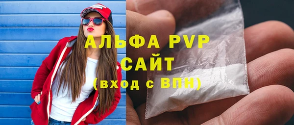 индика Алексин