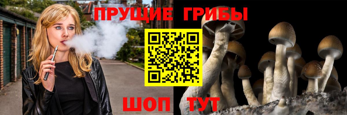 Галлюциногенные грибы Cubensis Всеволожск